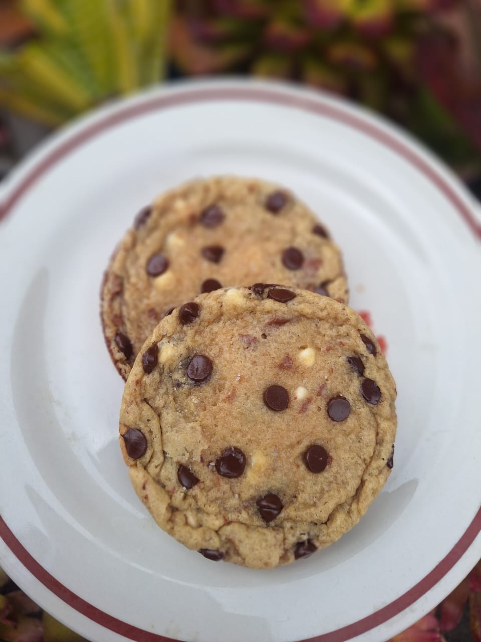 Brown Butter Chocolate Chip